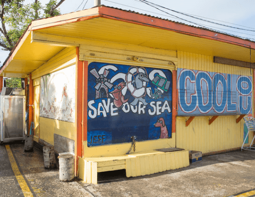 usvi tourism office